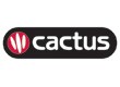 Cactus language Courses Exeter 614451 Image 0